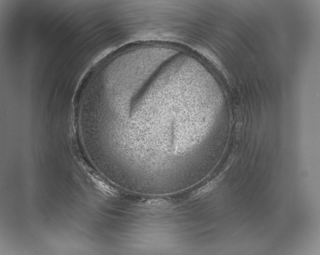 X0000074000974200609061019