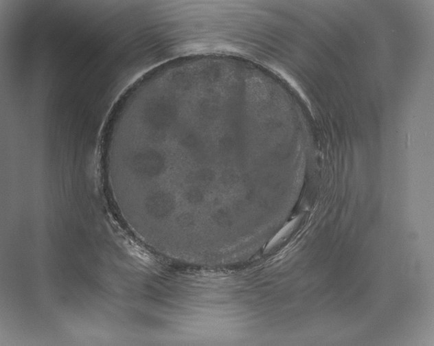 X0000074000975200609061019