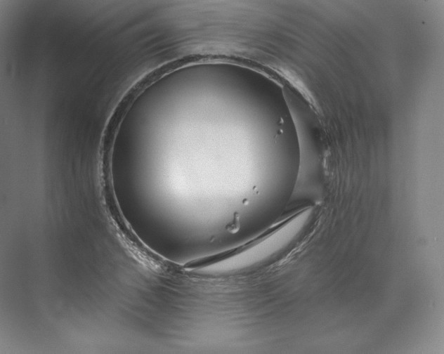 X0000074000976200609061019