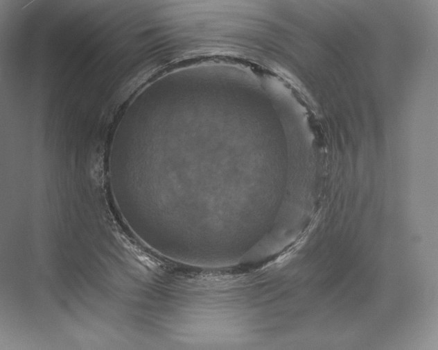 X0000074000977200609061019