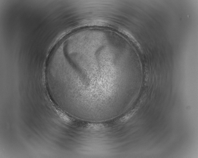 X0000074000978200609061019