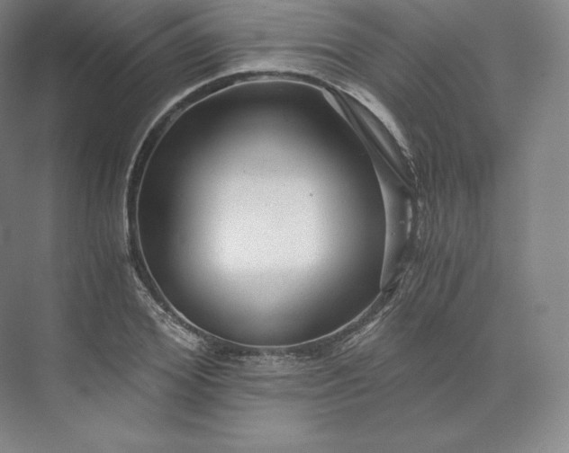 X0000074000980200609061019