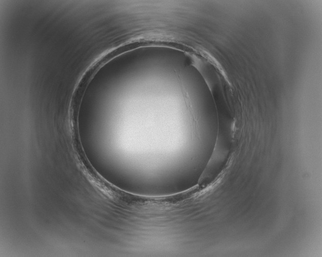 X0000074000981200609061019