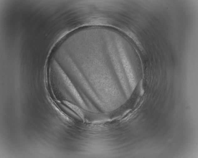 X0000074000982200609061019