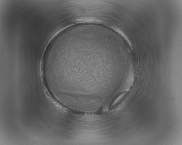 X0000074000983200609061019