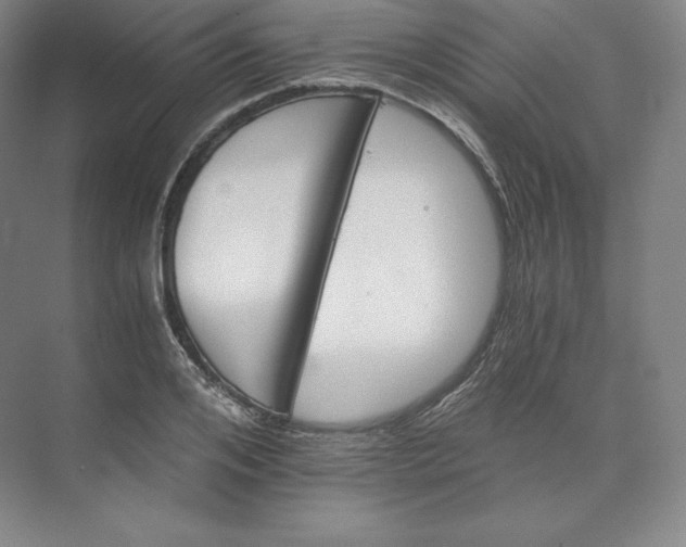 X0000074000984200609061019