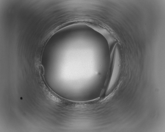 X0000074000985200609061019