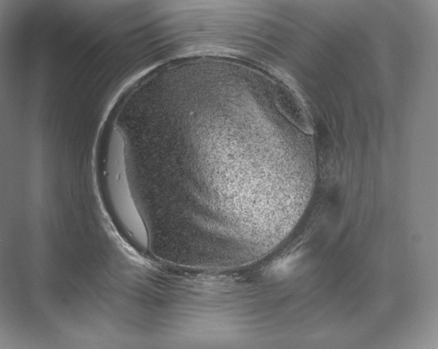 X0000074000987200609061019