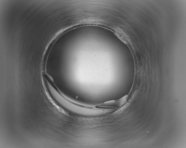 X0000074000989200609061019