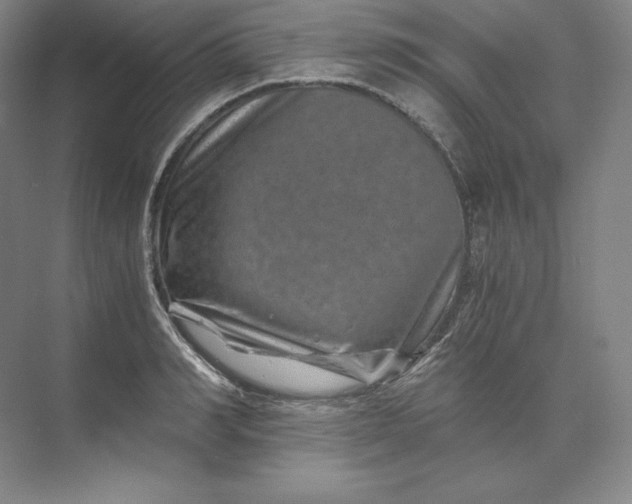 X0000074000990200609061019