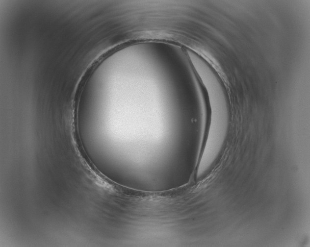 X0000074000992200609061019