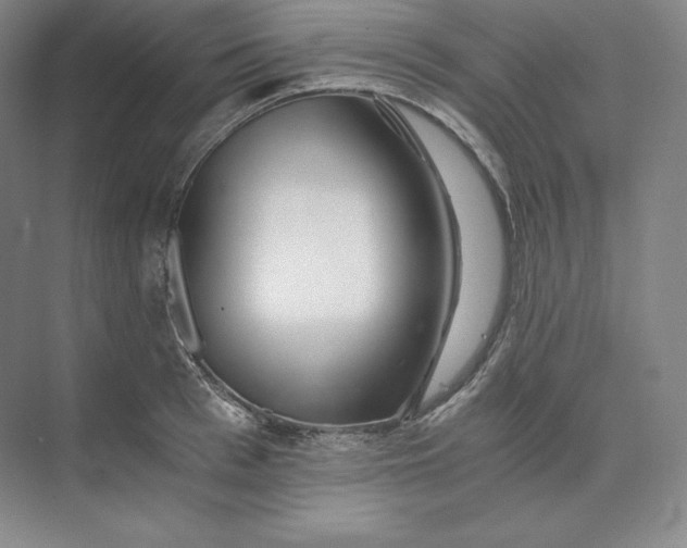 X0000074000993200609061019