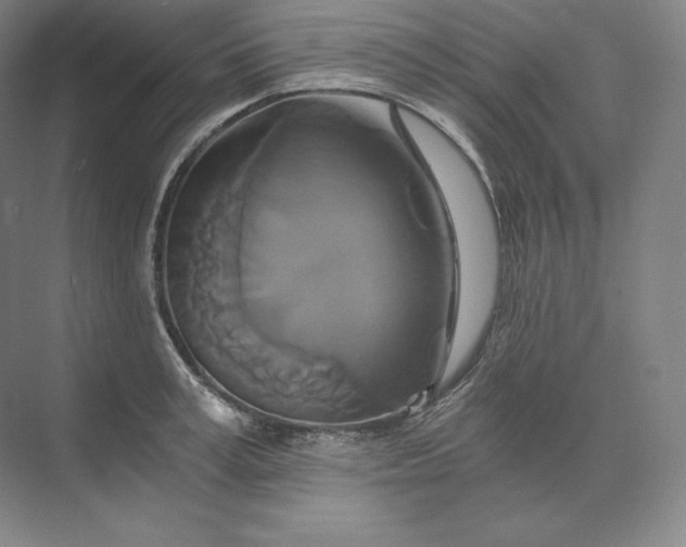 X0000074000995200609061019