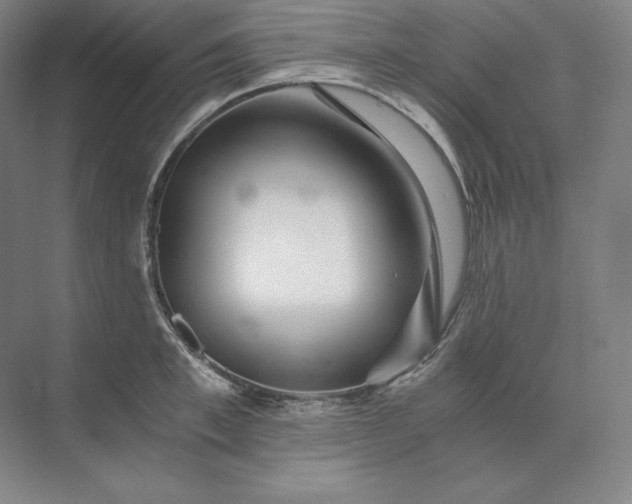 X0000074000997200609061019