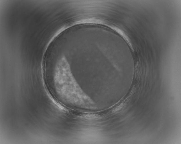 X0000074000998200609061019