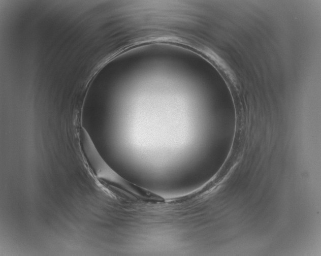 X0000074001001200609061019