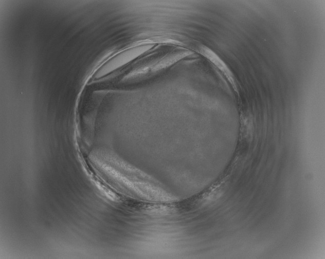 X0000074001002200609061019