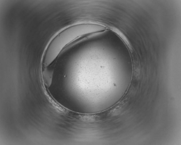 X0000074001004200609061019