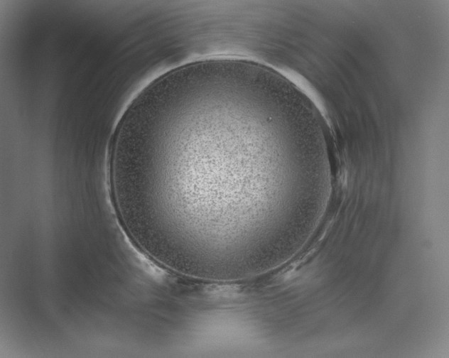 X0000074001006200609061019