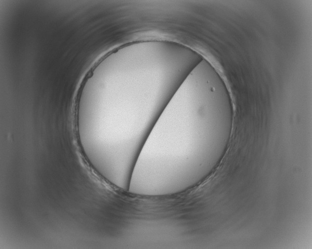 X0000074001008200609061019