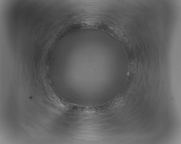 X0000074001009200609061018