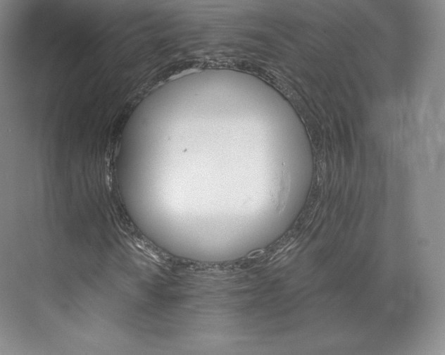 X0000074001010200609061018