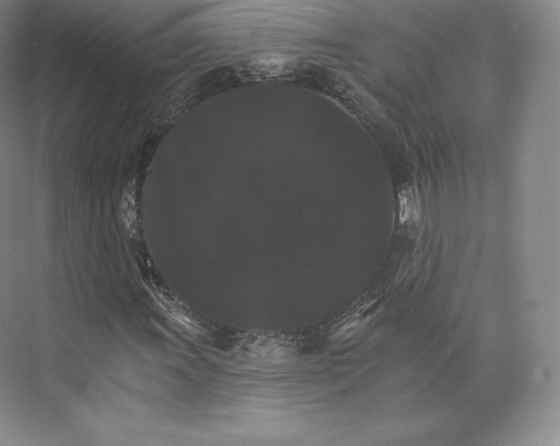 X0000074001011200609061018