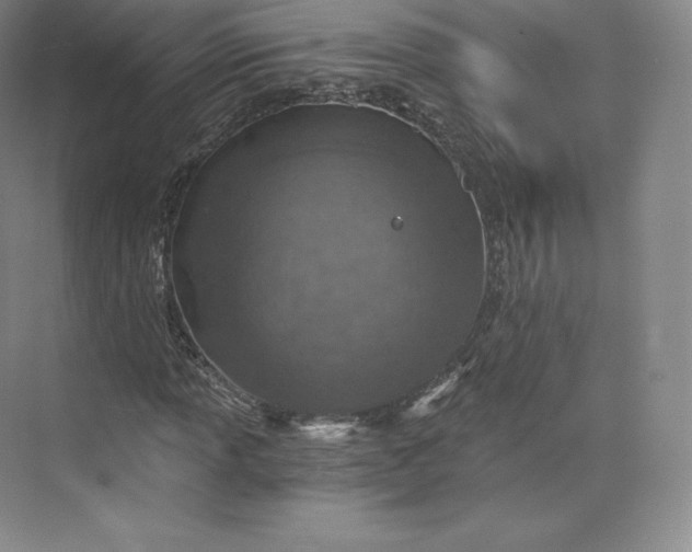 X0000074001013200609061018