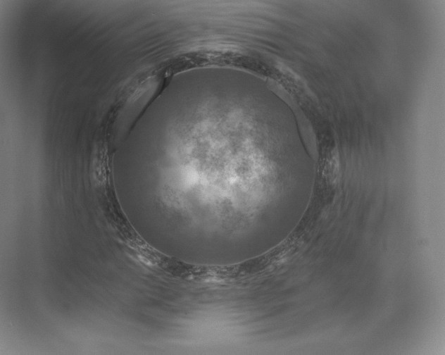 X0000074001014200609061018