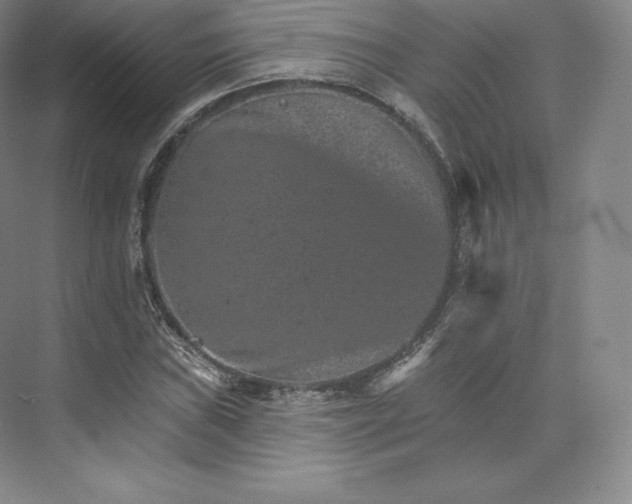 X0000074001019200609061018