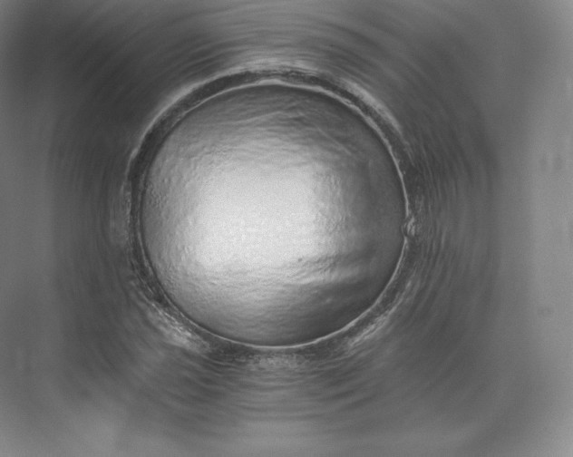 X0000074001021200609061018