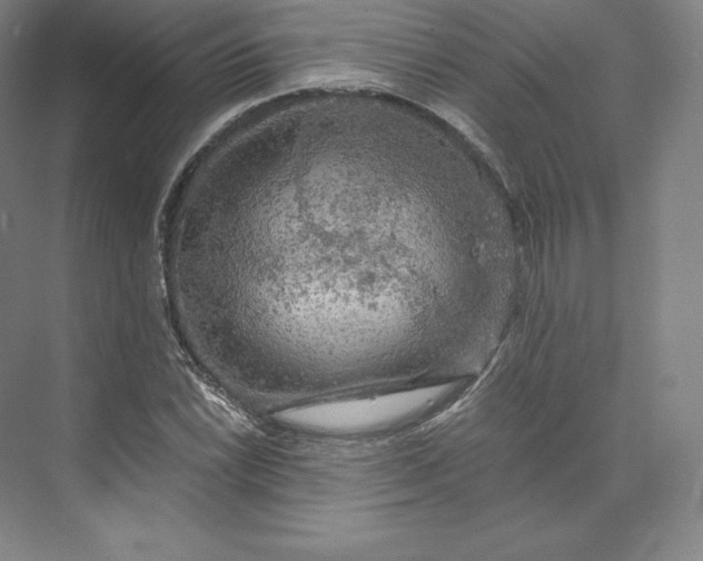 X0000074001022200609061018