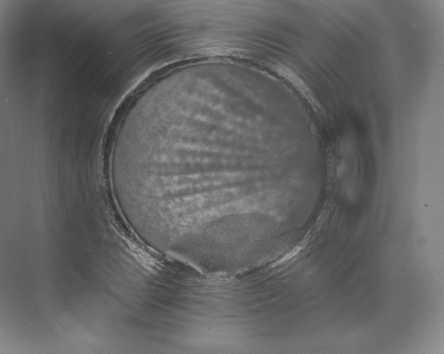 X0000074001023200609061018