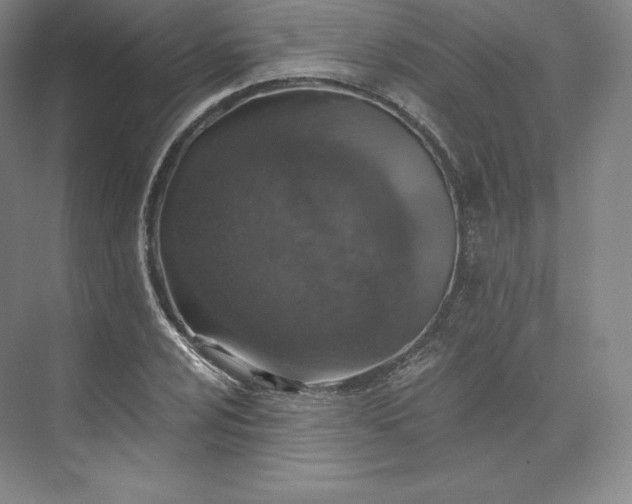 X0000074001024200609061018