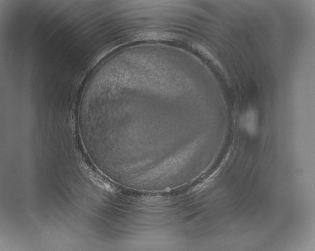 X0000074001025200609061018