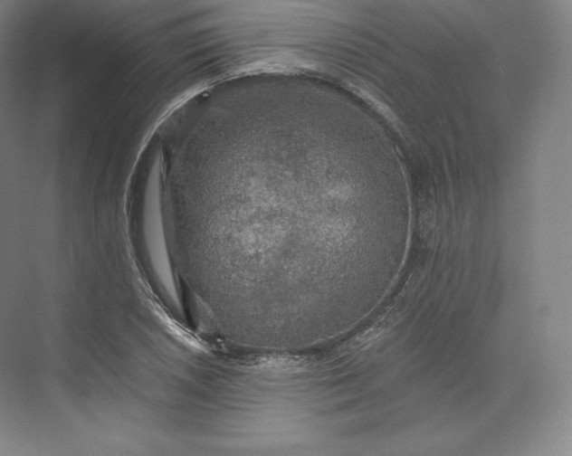 X0000074001026200609061018