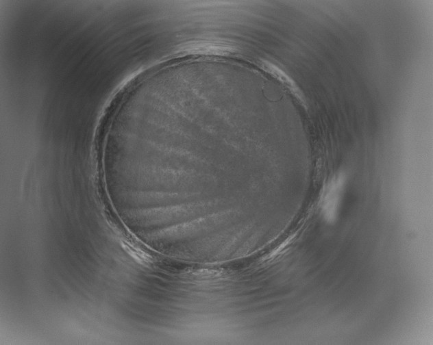 X0000074001027200609061018