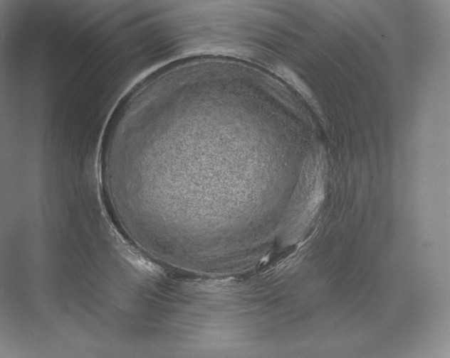 X0000074001028200609061018