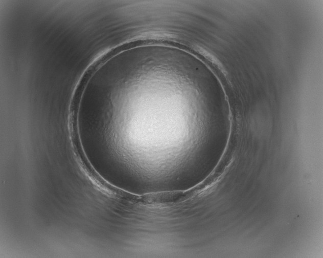 X0000074001029200609061018