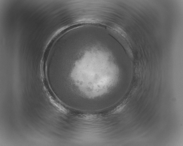 X0000074001030200609061018