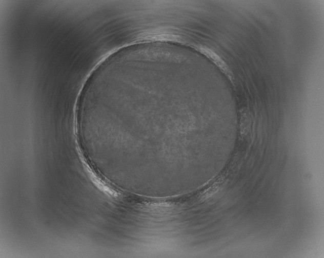 X0000074001031200609061018