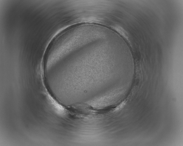 X0000074001032200609061018