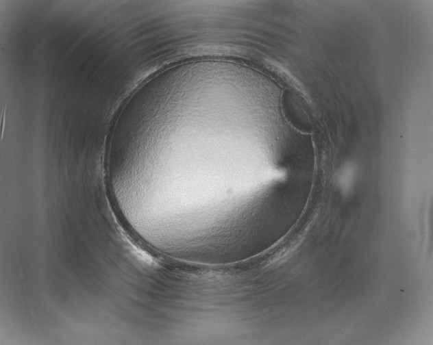 X0000074001033200609061018