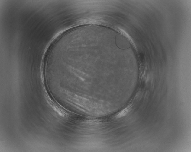 X0000074001035200609061018