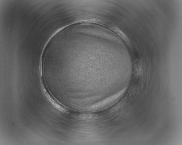 X0000074001036200609061018