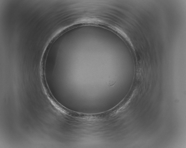 X0000074001037200609061018