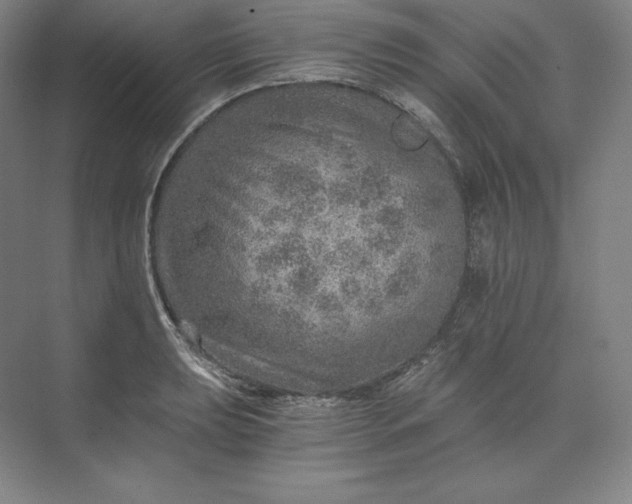 X0000074001039200609061018