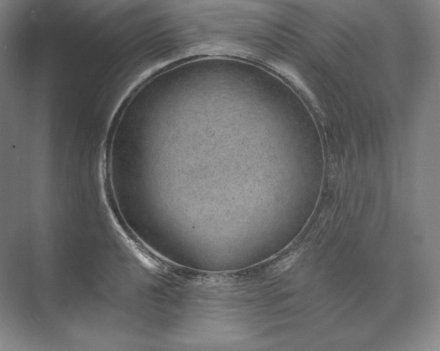 X0000074001040200609061018