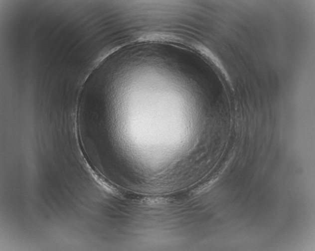 X0000074001041200609061018