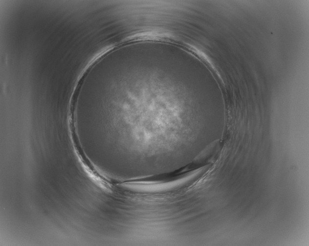 X0000074001042200609061018